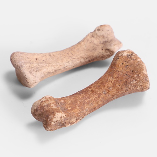 What am I bid for two Dodo bones reported to have been recovered from a swamp in Mauritius?